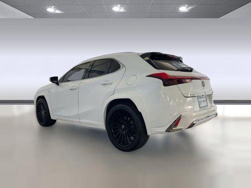 2019 Lexus UX 200 F Sport