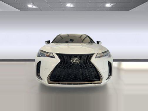 2019 Lexus UX 200 F Sport