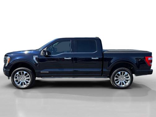 Blue Metallic 2021 Ford F-150 Limited