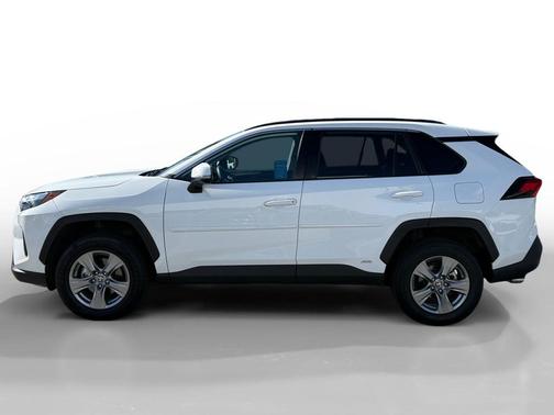 Ice 2024 Toyota RAV4 Hybrid LE
