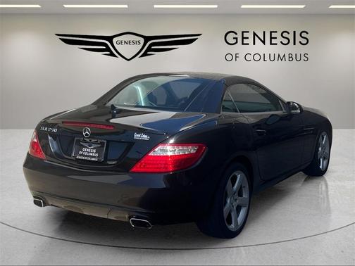 2014 Mercedes-Benz SLK-Class SLK 250