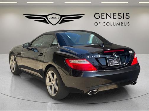 2014 Mercedes-Benz SLK-Class SLK 250