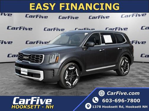 Panthera Metal 2025 Kia Telluride S