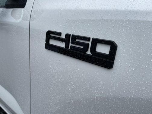 2025 Ford F-150 Lightning Platinum