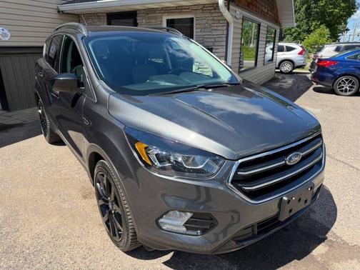 Magnetic 2019 Ford Escape SE