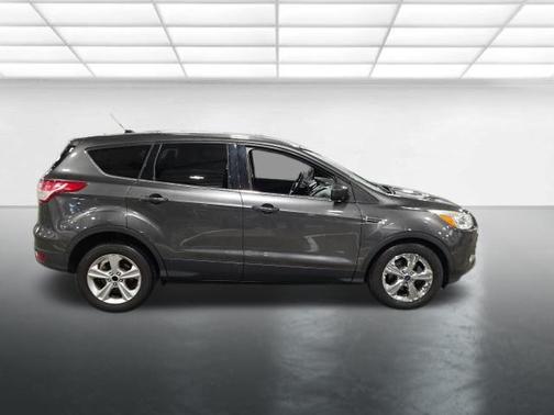 Magnetic 2015 Ford Escape SE