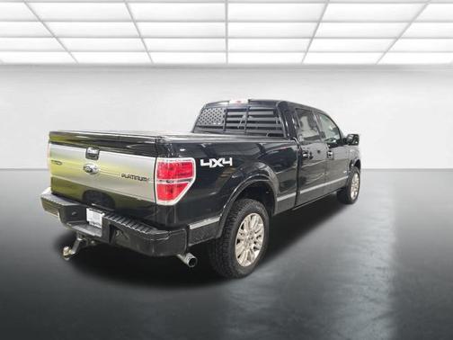 2014 Ford F-150 Platinum
