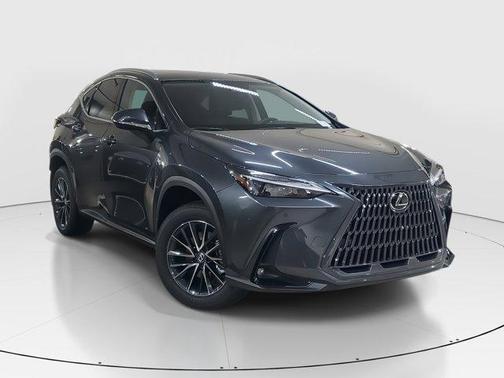 2025 Lexus NX 250 Base