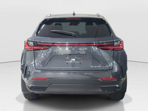 2025 Lexus NX 250 Base