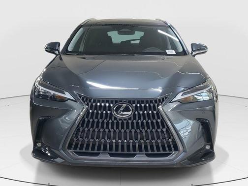 2025 Lexus NX 250 Base