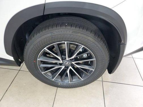 2025 Lexus NX 250 Base
