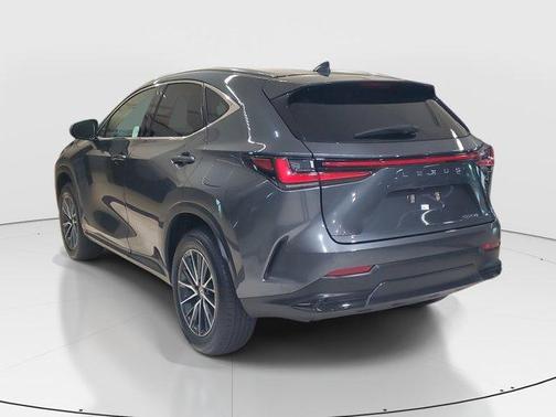 2025 Lexus NX 250 Base