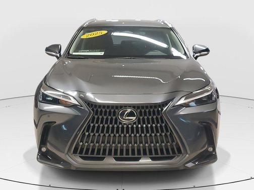 2025 Lexus NX 250 Base