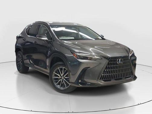 2025 Lexus NX 250 Base