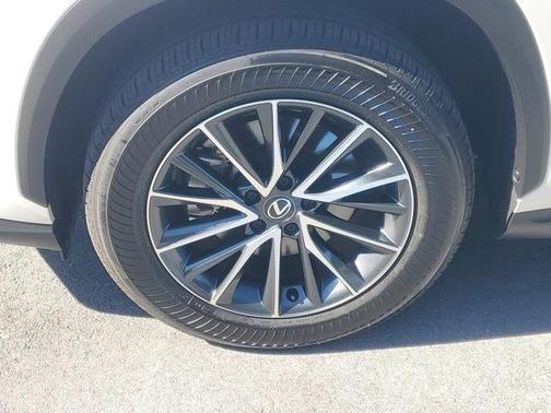 2025 Lexus NX 250 Base