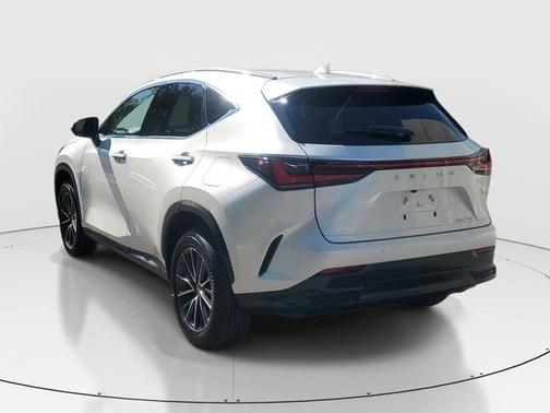 2025 Lexus NX 250 Base