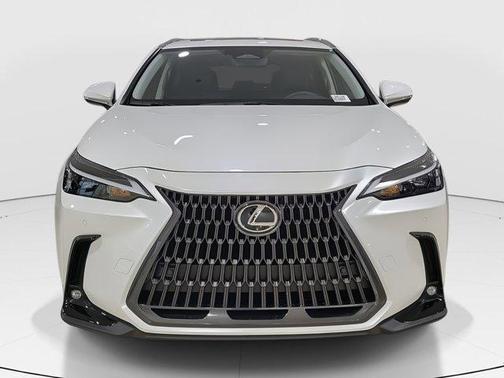 2025 Lexus NX 250 Premium