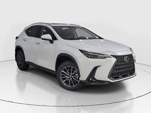 2025 Lexus NX 250 Premium