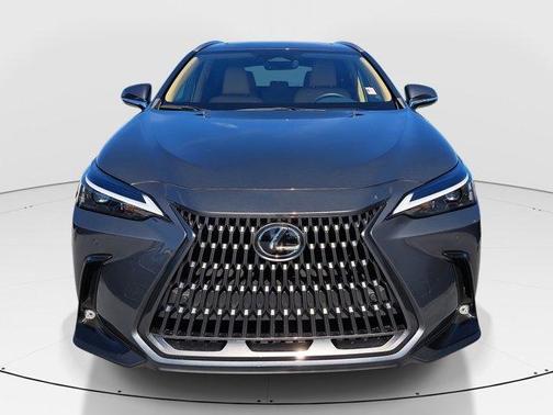 2024 Lexus NX 250 Premium
