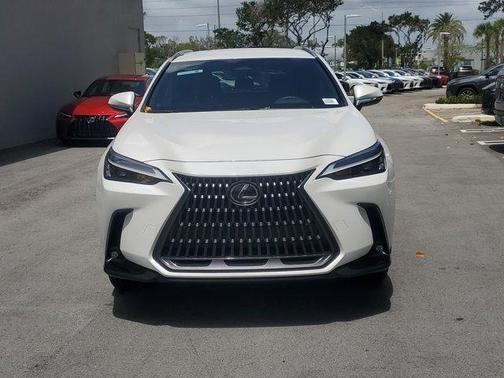 White 2024 Lexus NX 250 Base