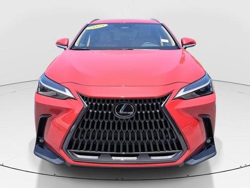 2025 Lexus NX 250 Base