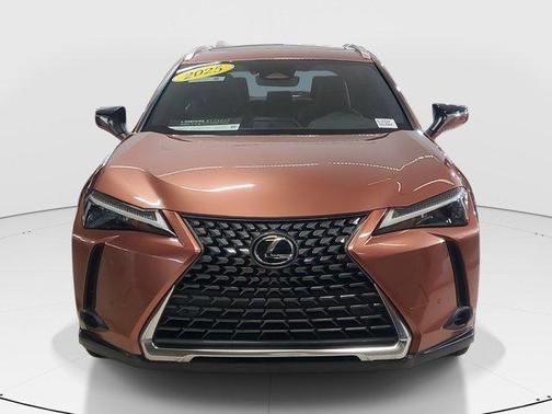 2025 Lexus UX 300h 