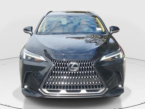 2025 Lexus NX 250 Premium