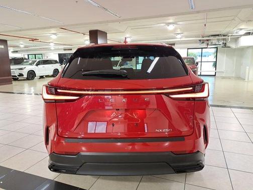 2025 Lexus NX 250 Base