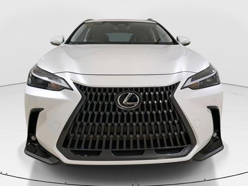 2025 Lexus NX 350h Base
