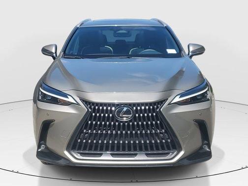 2023 Lexus NX 250 Premium