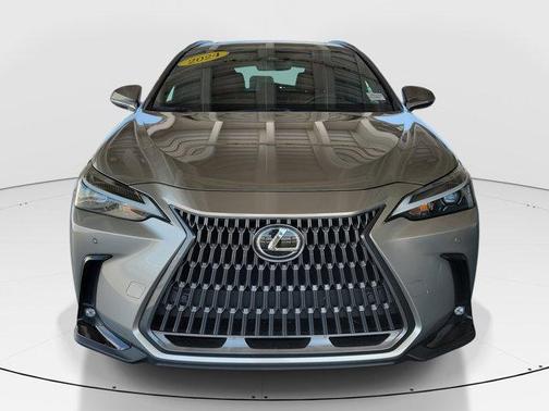 2024 Lexus NX 250 Premium