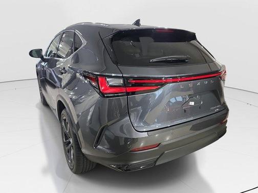 2025 Lexus NX 450h+ Luxury