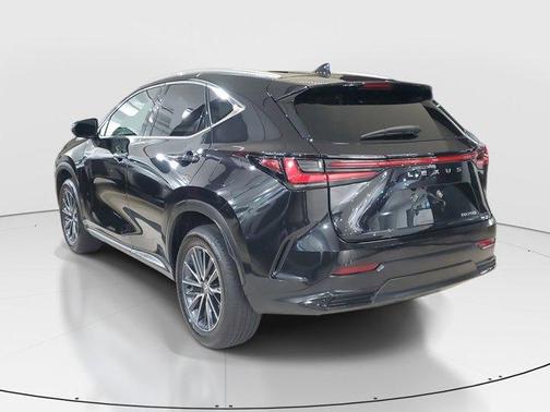 2025 Lexus NX 250 Premium