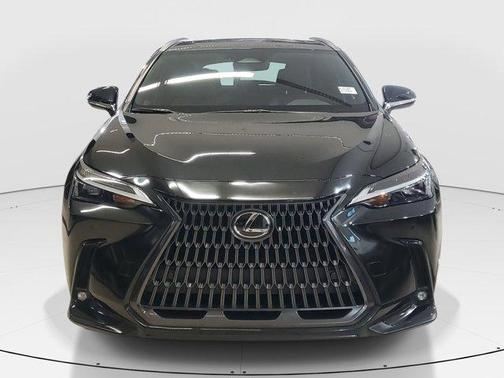 2025 Lexus NX 250 Premium