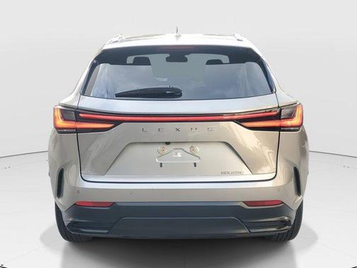 2025 Lexus NX 250 Base