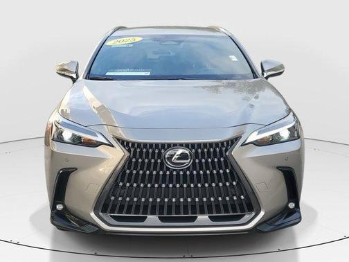 2025 Lexus NX 250 Base
