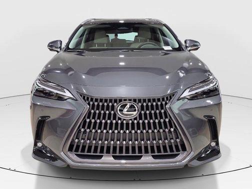 Cloudburst Gray 2026 Lexus NX 350 Luxury