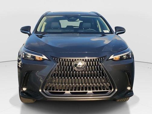 2024 Lexus NX 250 Premium