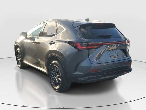 2024 Lexus NX 250 Premium