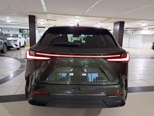 2025 Lexus NX 250 Base