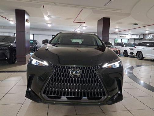 2025 Lexus NX 250 Base