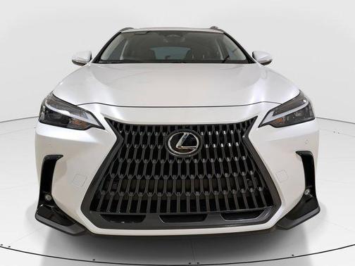 2025 Lexus NX 350h Base