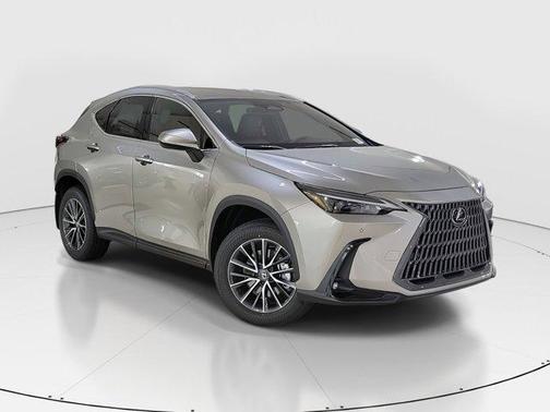 2025 Lexus NX 250 Base