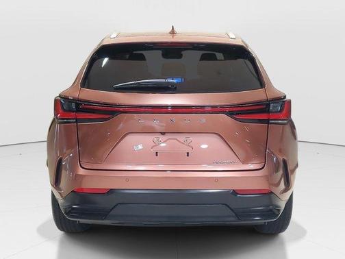 2025 Lexus NX 250 Premium