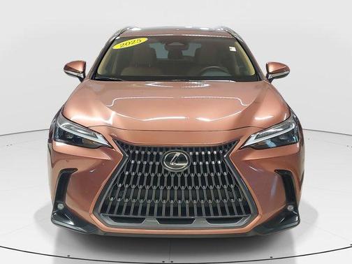 2025 Lexus NX 250 Premium
