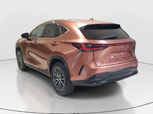 2025 Lexus NX 250 Premium