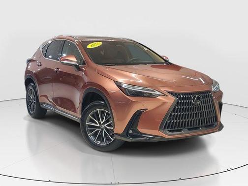 2025 Lexus NX 250 Premium