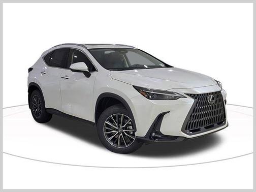 2025 Lexus NX 250 Premium