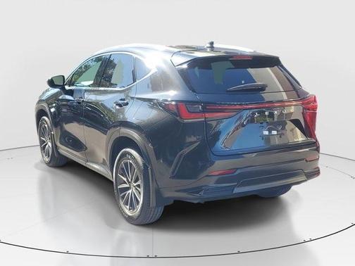 2023 Lexus NX 250 Base
