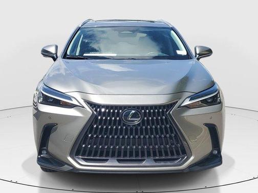 Dark Gray Metallic 2025 Lexus NX 350 Premium